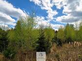 Waldverkauf-Ravensburg_30.jpg - 