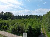 Waldverkauf-Ravensburg_31.jpg - 