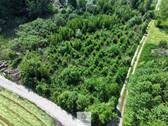 Waldverkauf-Ravensburg_32.jpg - 