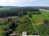 Waldverkauf-Ravensburg_33.jpg - 