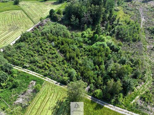 Waldverkauf-Ravensburg_35.jpg - 