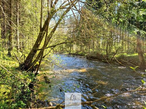 Waldverkauf-Ravensburg_03.jpg - Grundstück in Bergatreute zum Kaufen