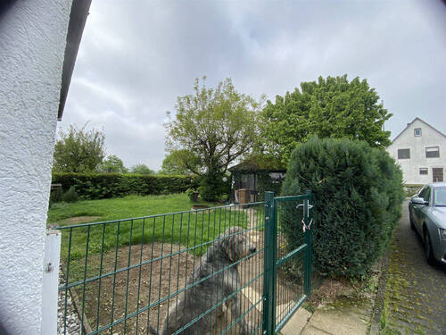 Blick in den Garten - 