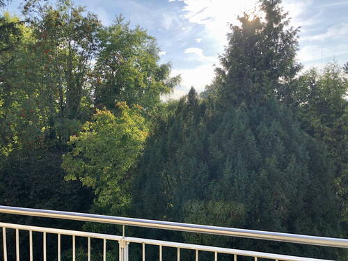 Terrasse ruhige Westlage - 3 Zimmer Etagenwohnung in München