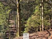 Waldverkauf-Mainhardt_13.jpg - 