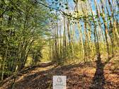 Waldverkauf-Mainhardt_14.jpg - 