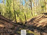 Waldverkauf-Mainhardt_16.jpg - 