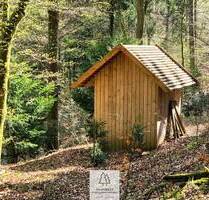 Rückzugsort & Familienidyll: Wald mit eigenem See, Hütte und Bächchen im Mainhardter Wald
