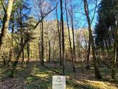 Waldverkauf-Mainhardt_22.jpg - 