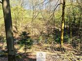 Waldverkauf-Mainhardt_24.jpg - 