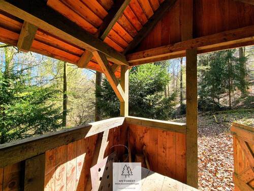 Waldverkauf-Mainhardt_26.jpg - 