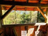 Waldverkauf-Mainhardt_27.jpg - 