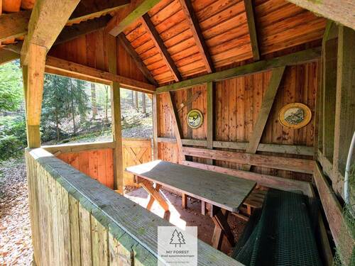 Waldverkauf-Mainhardt_28.jpg - 