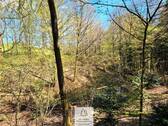 Waldverkauf-Mainhardt_30.jpg - 