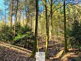 Waldverkauf-Mainhardt_04.jpg - Grundstück in Mainhardt zum Kaufen