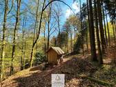 Waldverkauf-Mainhardt_06.jpg - 