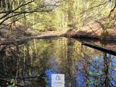 Waldverkauf-Mainhardt_07.jpg - 