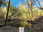 Waldverkauf-Mainhardt_09.jpg - 