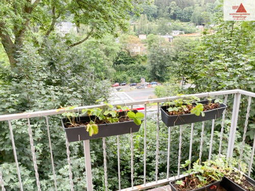 Balkon - 4 Zimmer Etagenwohnung zur Miete in Annaberg-Buchholz