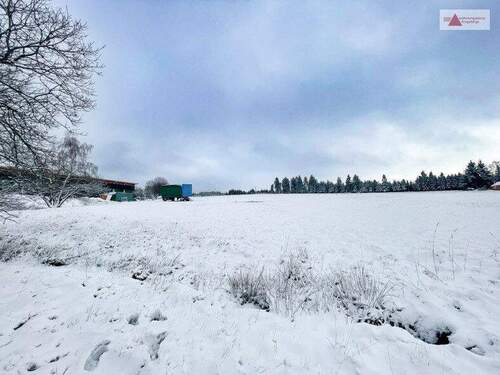 Grundstück - Landwirtschaftliche Fläche - 