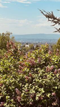blick nach basel.jpg - 