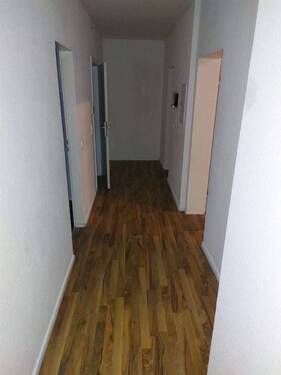 PHOTO-2024-11-20-20-52-42-2 - 