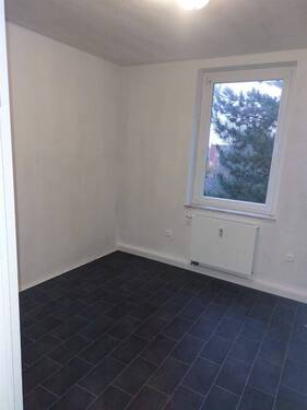 PHOTO-2024-11-20-20-52-41-2 - 