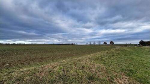 Acker hinter dem Grundstück - 