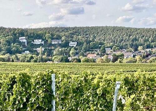 Wohnen in topp Lage einmalig! - Topp Lage! Freistehendes EFH+Garten+Do.Garag+Blick zum Königstuhl nach Heidelberg +ohne Makler
