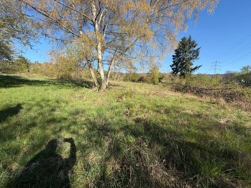 Wiesenfläche - Grundstück in Bad Homburg vor der Höhe