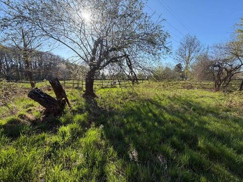 Wiesenfläche - Grundstück in Bad Homburg vor der Höhe zur Miete