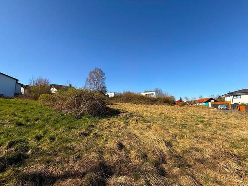 Bild 11 - 