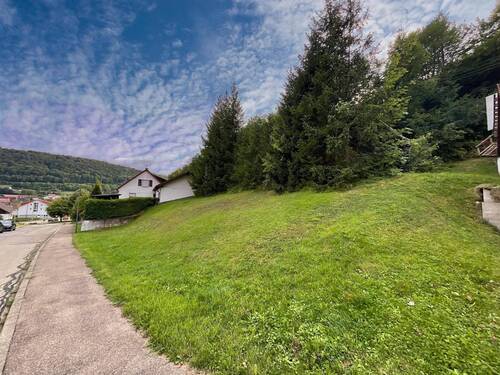 Außenansicht - Schönes Wohnbaugrundstück in Burladingen