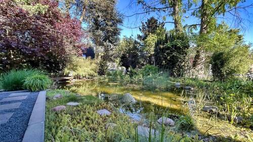 Gartenteich mit Weg - 