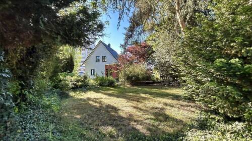 Blick / Zugang von der Garagenzufahrt - 