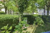 Blick von der Terrasse - 
