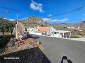 20251115_142832.jpg - Gran Canaria Finca bei Soria, Nähe Stausee im Süden der Insel,