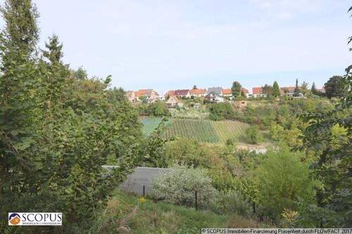 Blick vom Terrassengarten - 