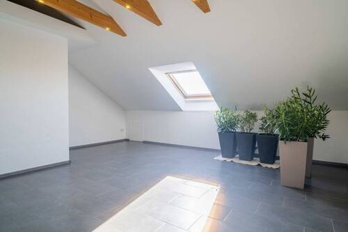 Zimmer DG - 