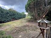 Blick in den Garten - 
