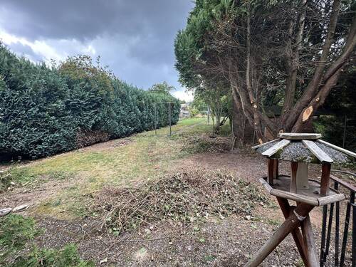 Blick in den Garten - 