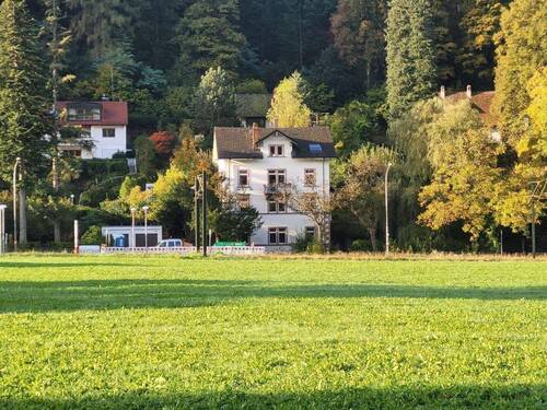 Wiehre-Günterstal: 4x GründerzeitWhg + Fabrik-Loft - 4-FamHs 1880 + Fabrik-Loft-Etage + 405qm WNF + 528qm GS + Gartenhs + Paradiesgarten + Teileigentum möglich