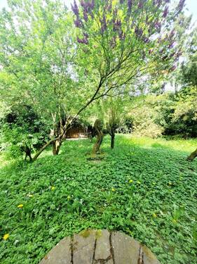 Garten - 