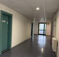 Gewerbeeinheit im Ärztehaus zu vermieten - Görlitz Weinhübel