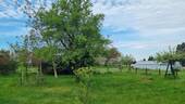 Garten - 5 Zimmer Einfamilienhaus zum Kaufen in Dresden