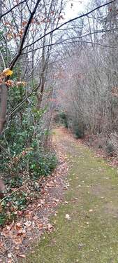 IMG-20251201-WA0017.jpg - 