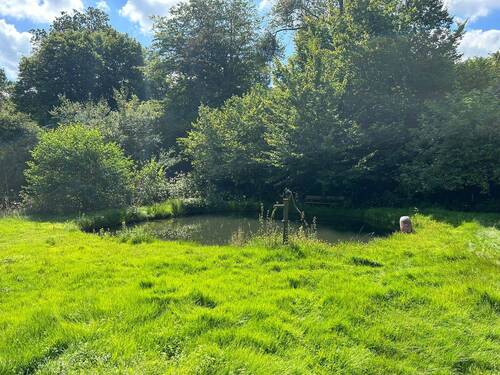 Teich - 