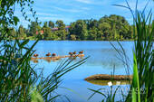 Schönblick3_Bauernsee_Enten - 