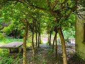 Zugang zum Pool - 