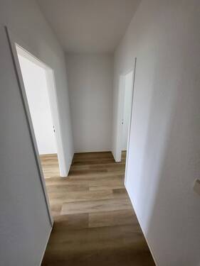20240718_142415.jpg - 2 Zimmer Etagenwohnung zur Miete in Nieden